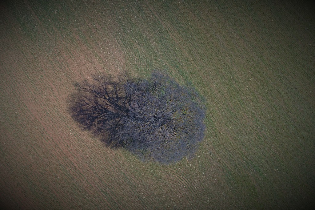 foto original Pau Salla Chopo; todos los derechos reservados ©