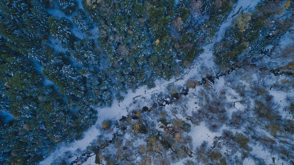 foto original Pau Salla Chopo; todos los derechos reservados ©